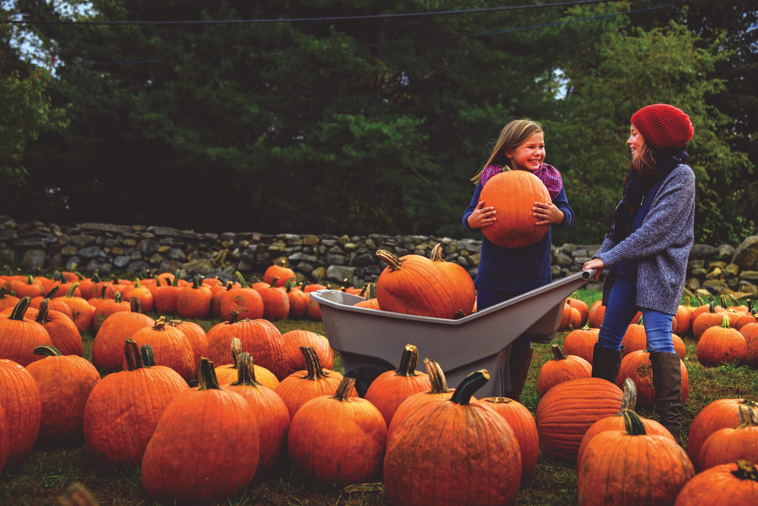 Halloween in Amerika: klassiek of net heel vernieuwend?