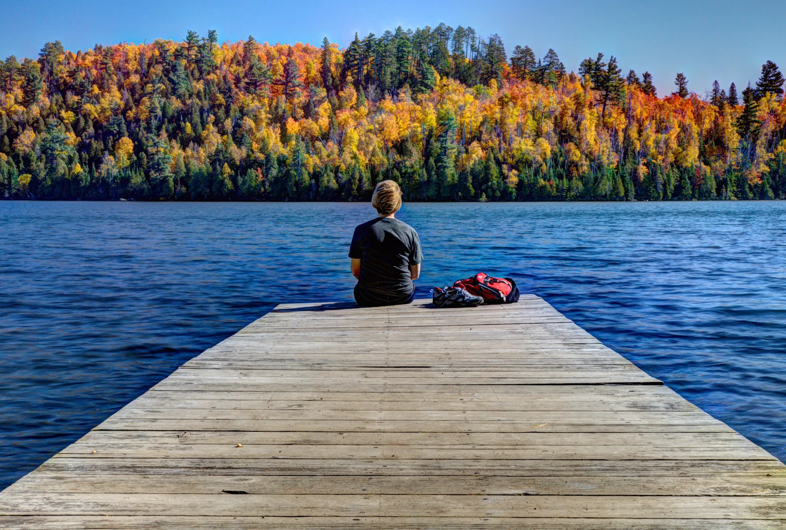 Minnesota scoort internationale erkenning als topbestemming voor 2027